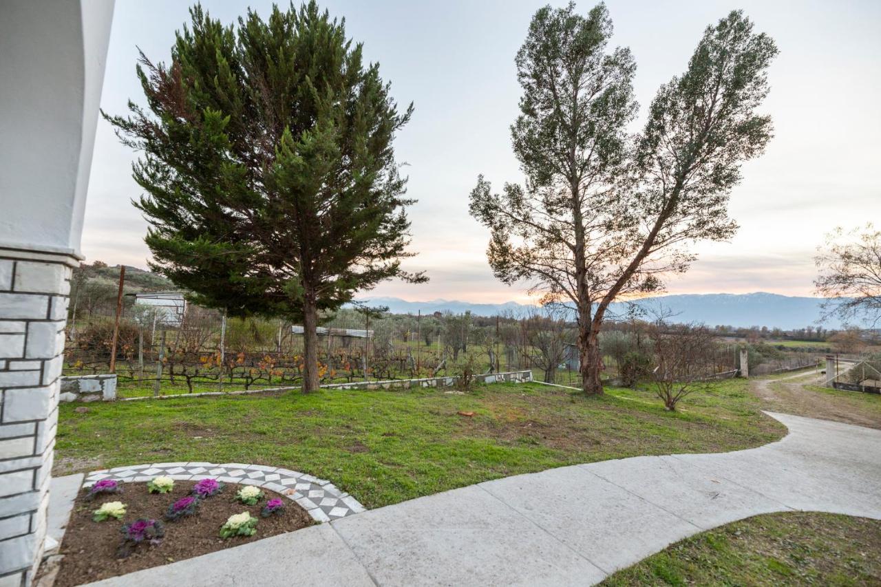 Τrικαλα - Μετεorα-Villa Toscana Trikala  Exterior photo